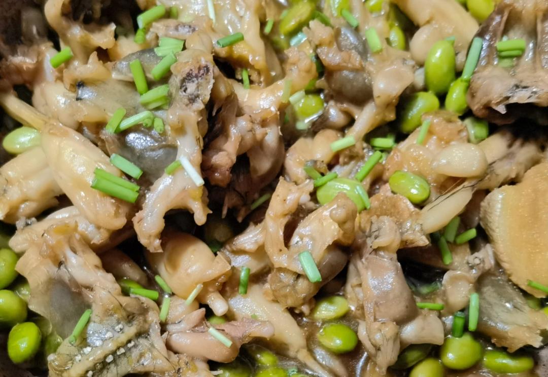 🔥宁波家常菜 红烧田鸡