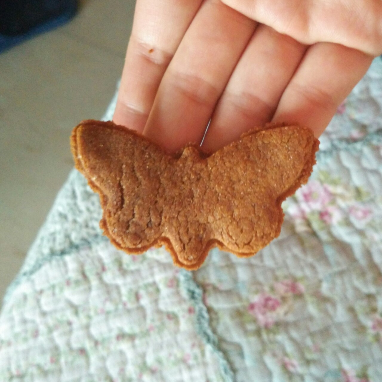 全麦甜酥饼干