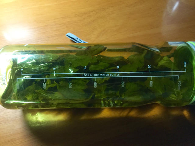纠结君的健康之路