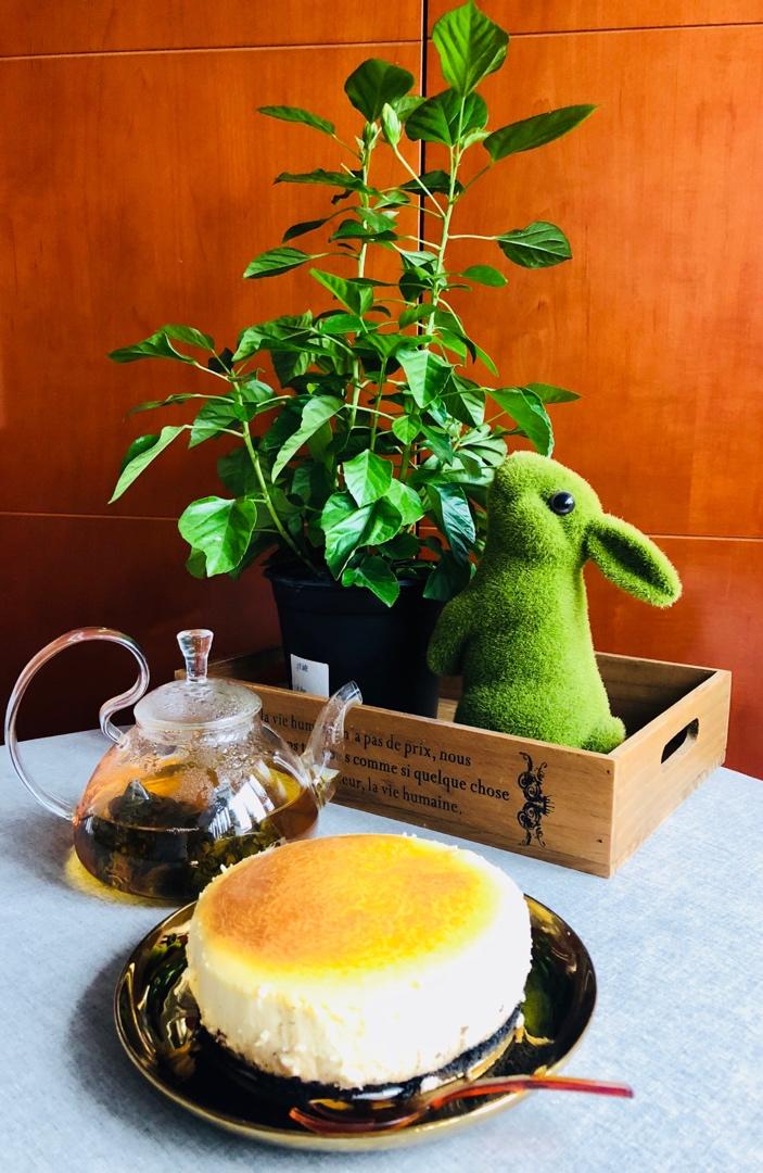 轻乳酪蛋糕（瑞可爷爷同款）网红轻乳酪