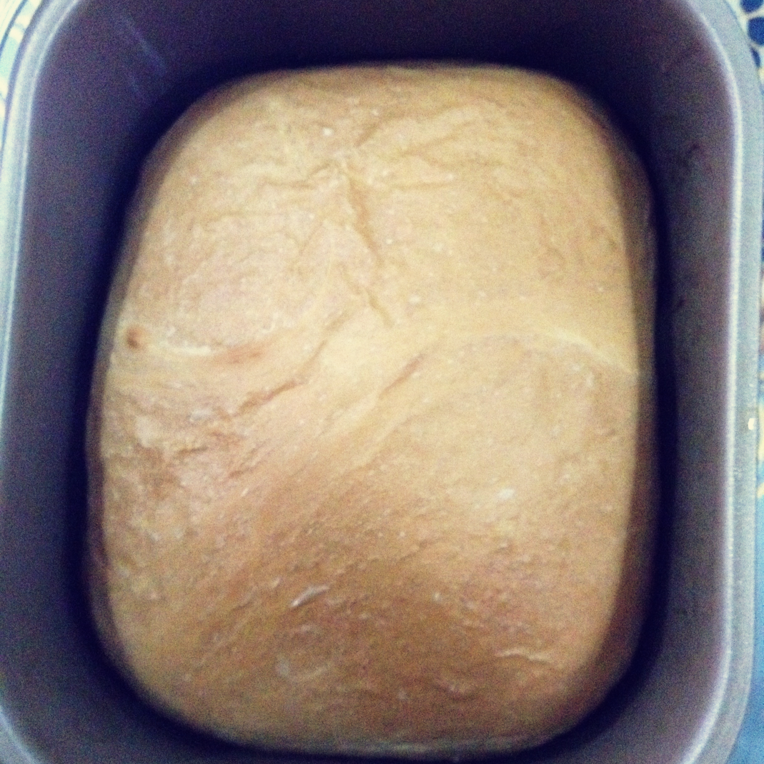 北海道吐司(面包机版）