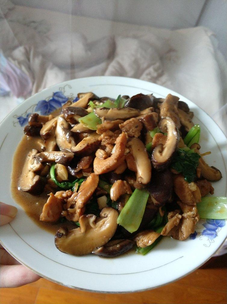 蘑菇滑鸡（香菇滑鸡）