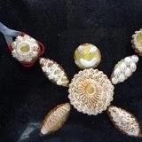 曼蒂慢慢滴