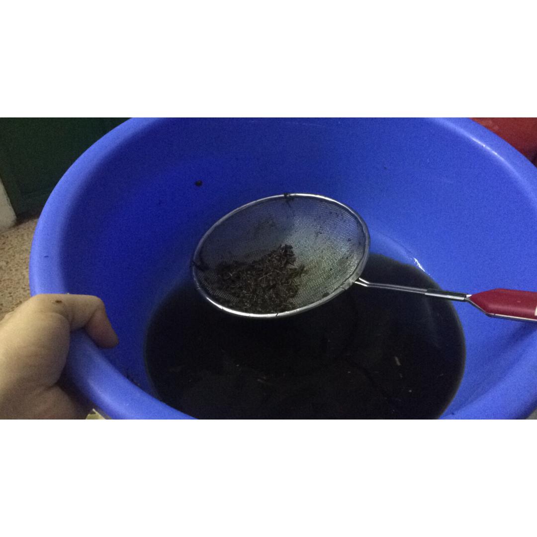 潮汕鼠壳粿（正宗）