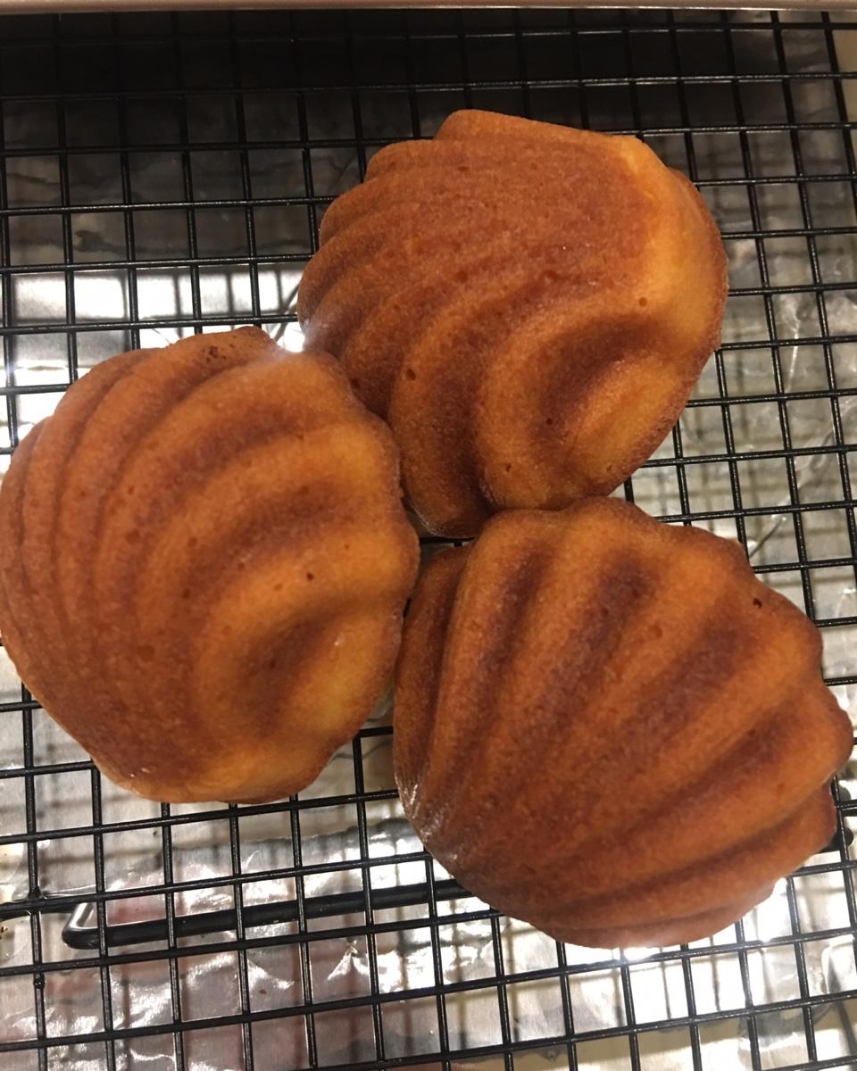 玛德琳蛋糕