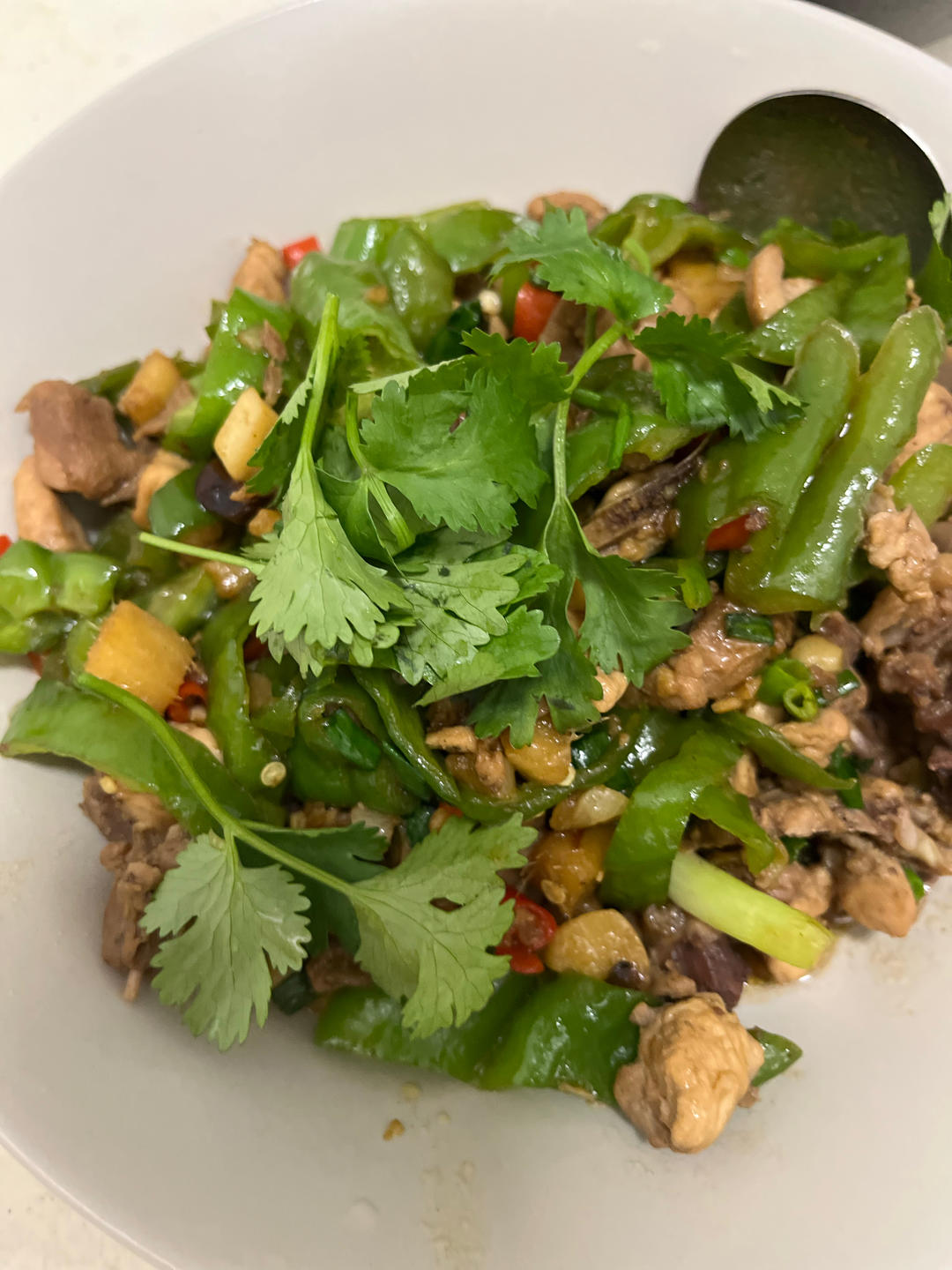 最简单的鸡肉做法——家常生炒鸡