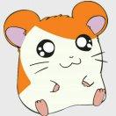 绿了芭蕉哈哈哈哈