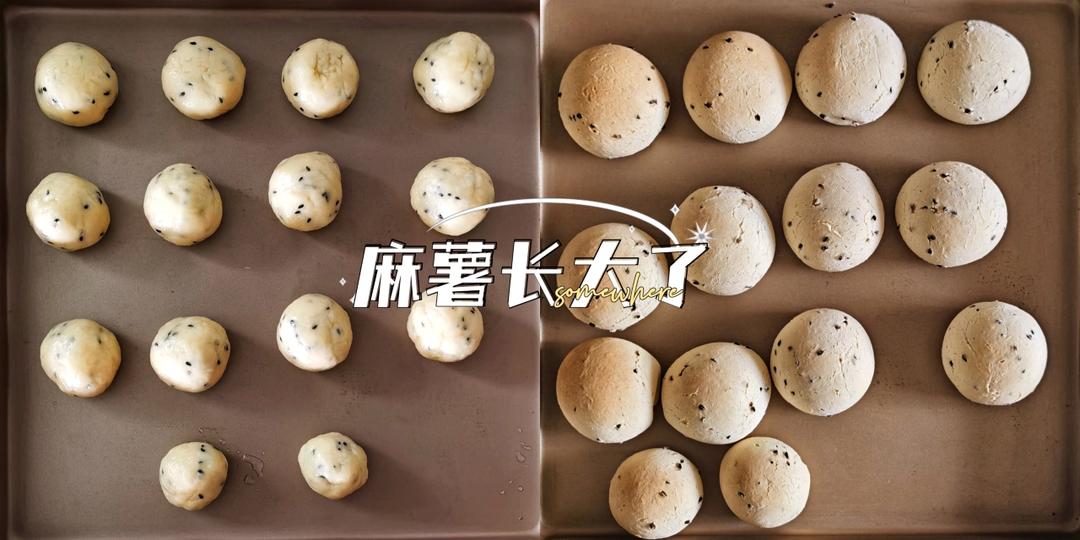 恐龙蛋·麻薯面包·麻薯包 自己做了1000➕的私人配方