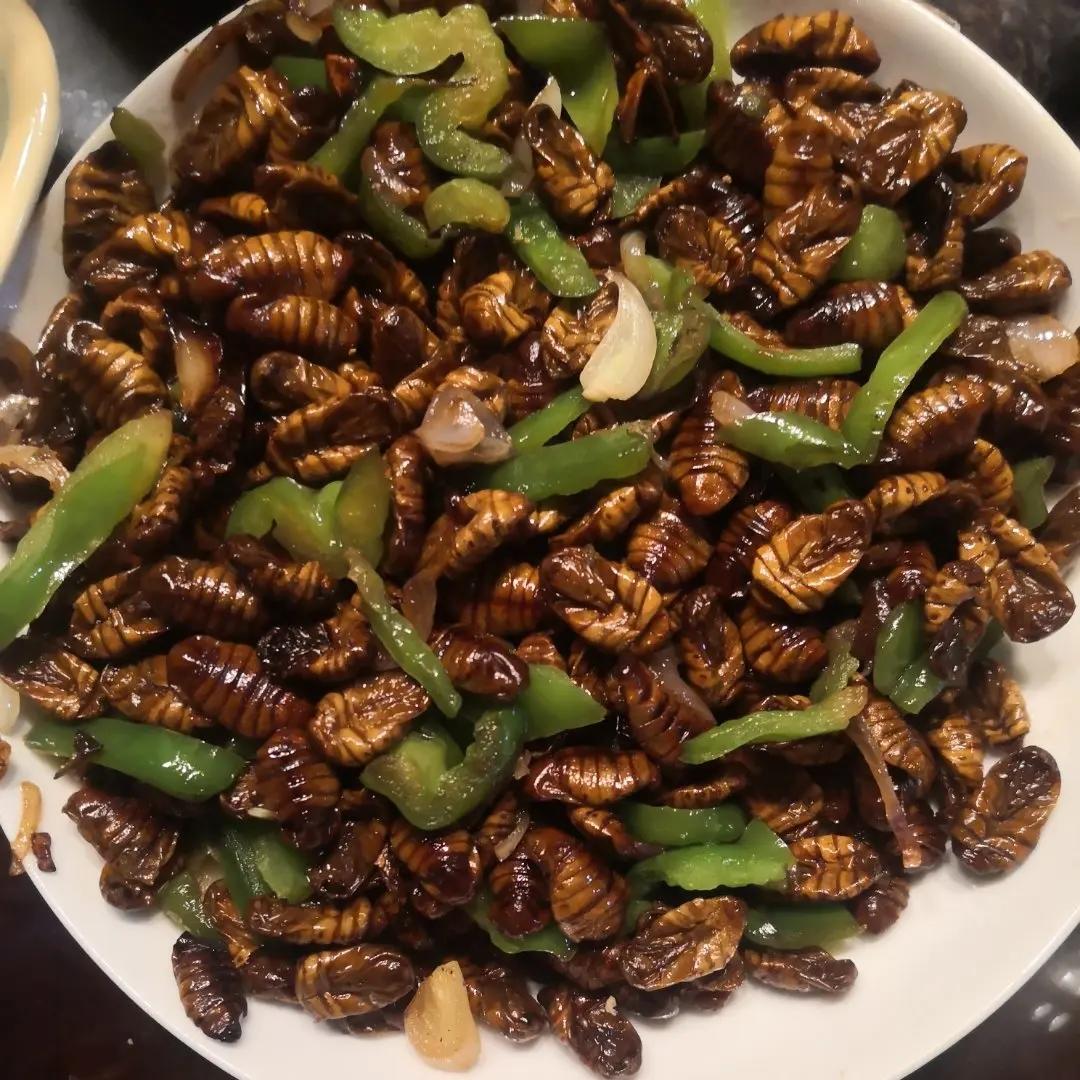 家常金丝蛹/家常蚕蛹