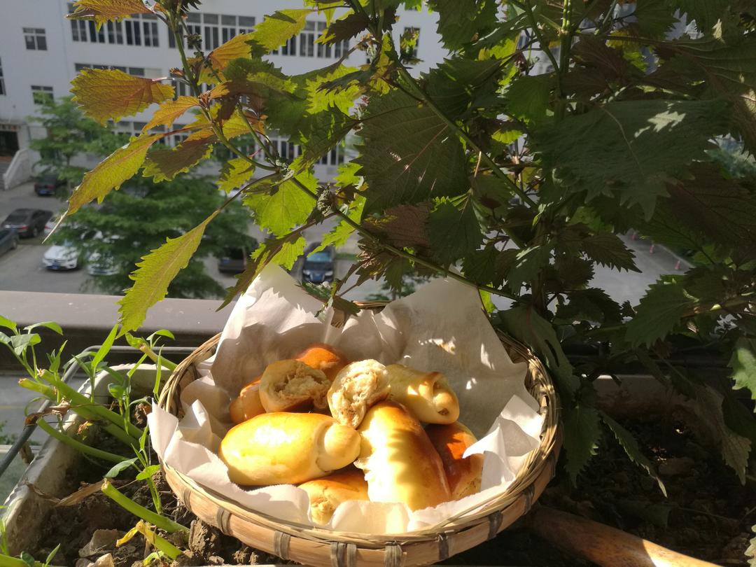 肉松面包：春日里的第一款DIY面包