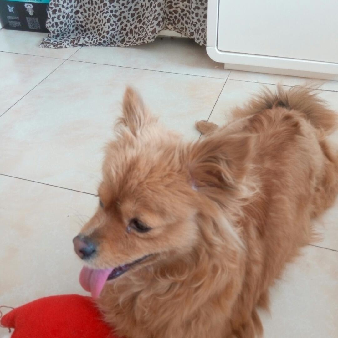 手机用户8304_4o7j