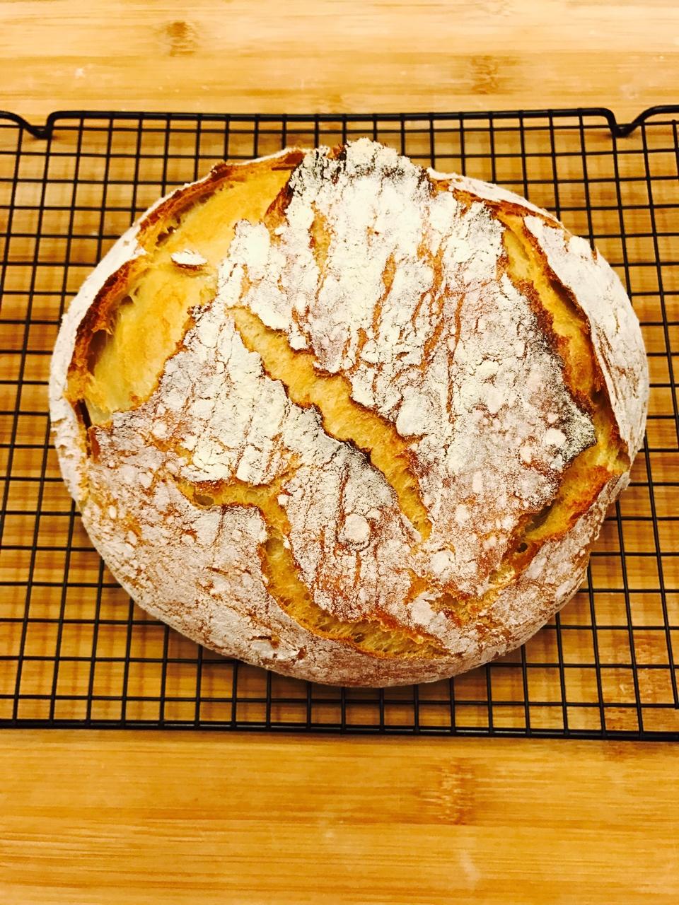 欧包/乡村面包-无油不用揉 No Knead Bread