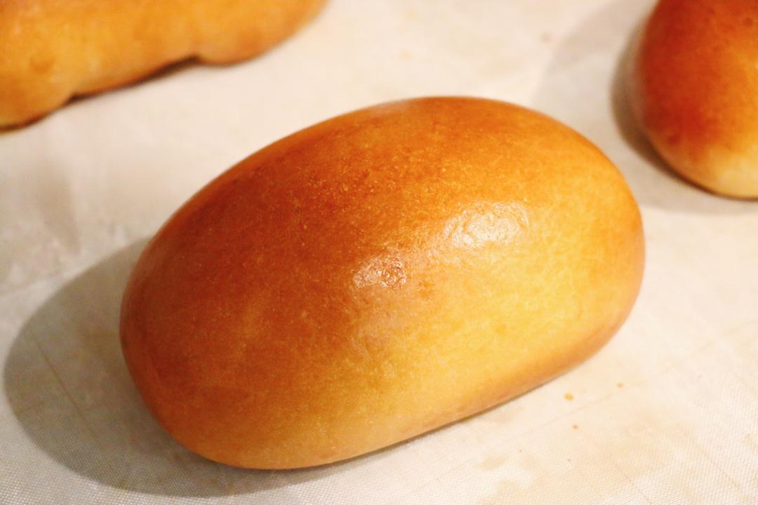 汉堡胚 poolish（波兰种）