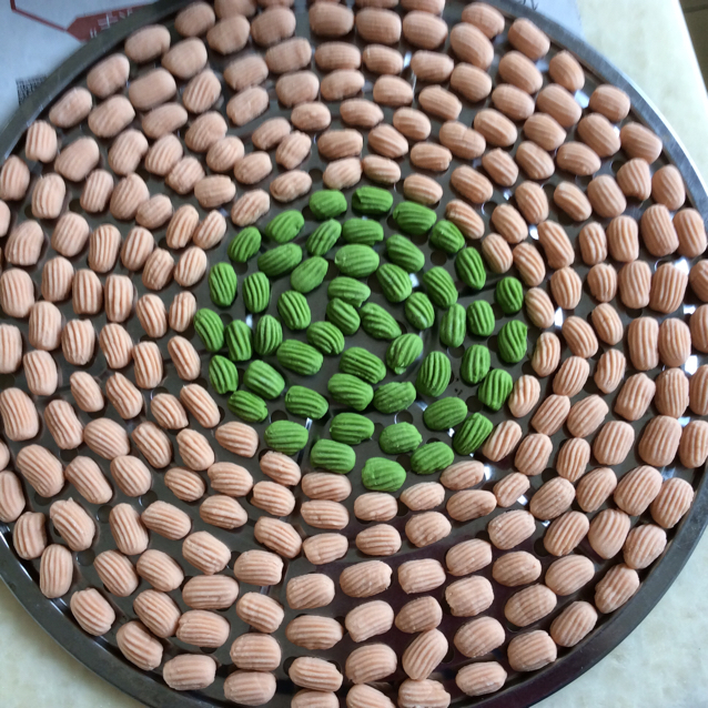 彩色贝壳面螺丝面
