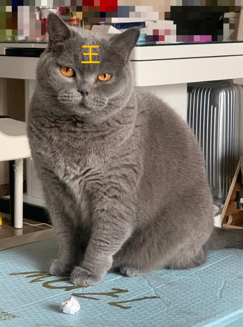 tuzilinlin