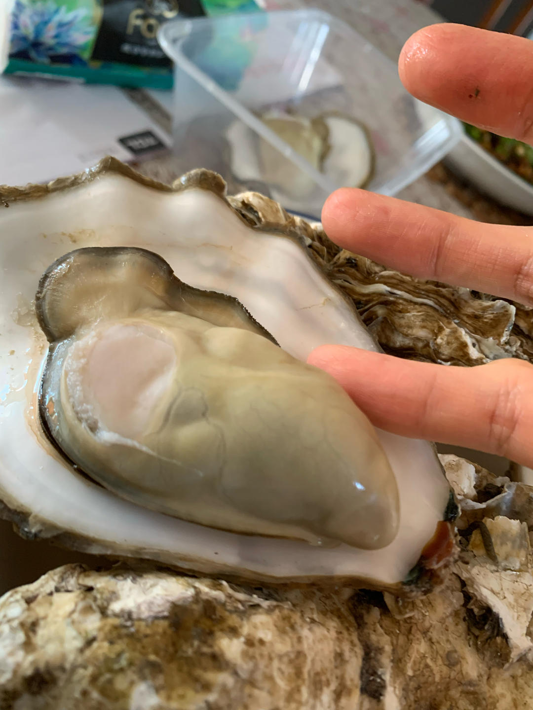 清蒸生蚝（附酱料做法）