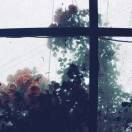 一碗有灵魂的面