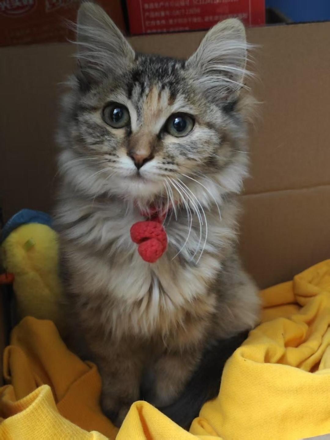 LuCI