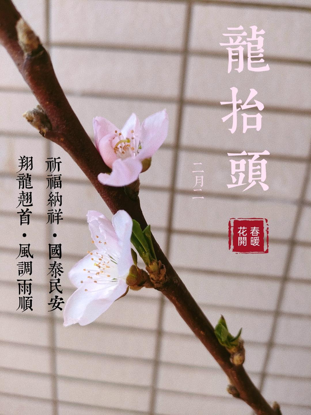 这些年，做过的美食