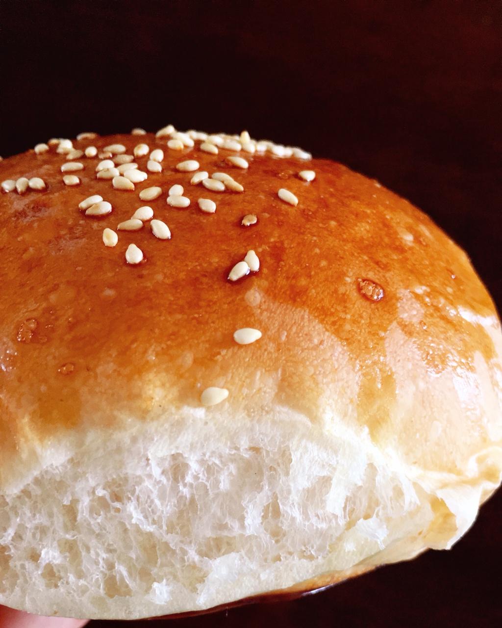 汉堡胚（中种法）