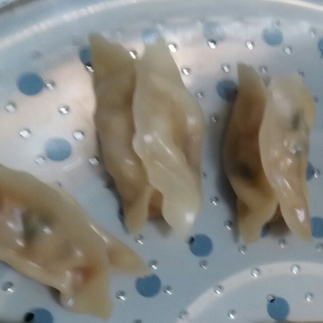 猪肉大葱烫面蒸饺