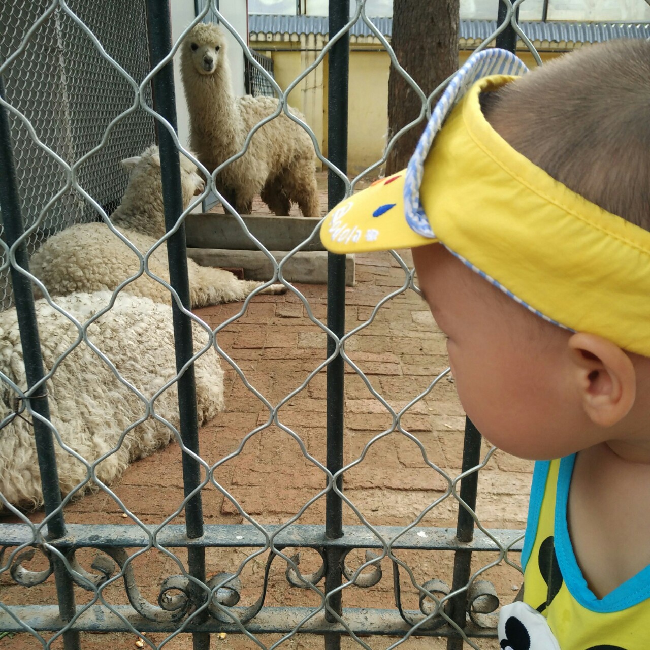 袁宝妈妈小幸人