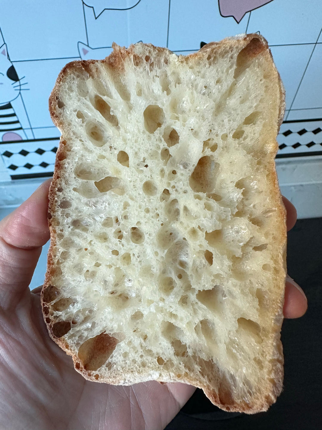 意大利恰巴塔初体验｜无糖少油面包｜波兰种｜大水量