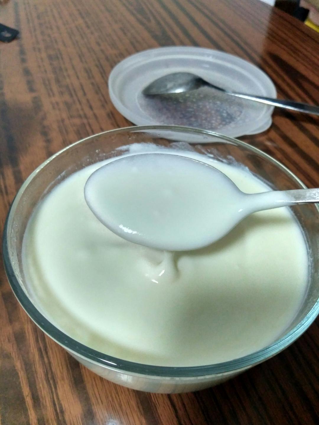 springtime春来了做的自制酸奶