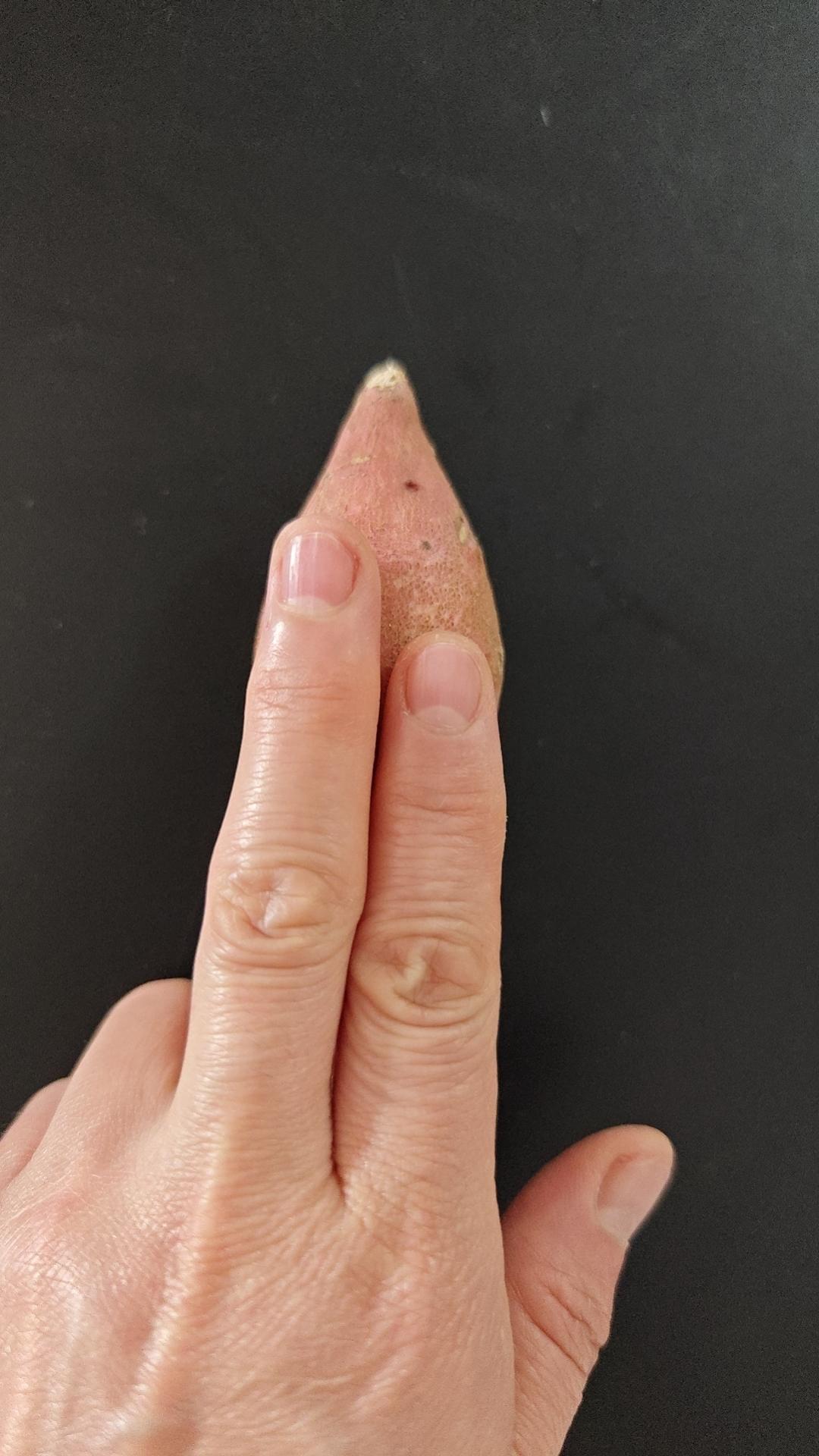 烤红薯【凯度蒸烤箱版】