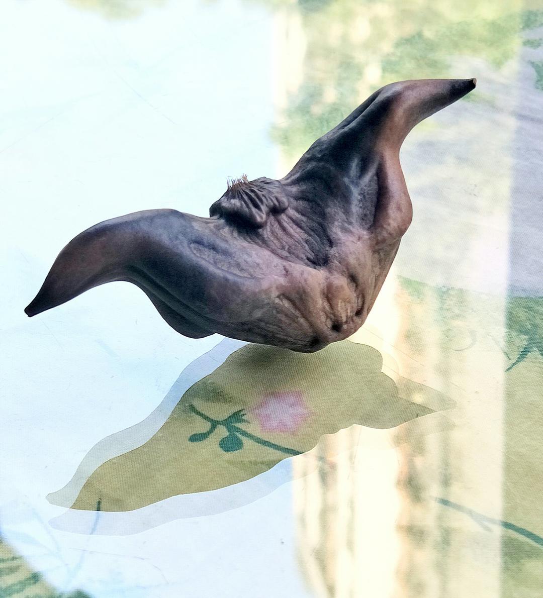 随拍游记