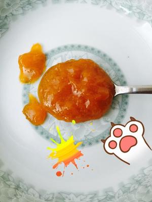 自制杏子果酱的做法 步骤3