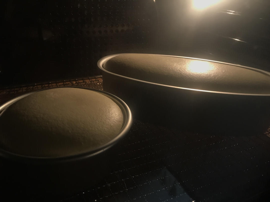 轻乳酪蛋糕（瑞可爷爷同款）网红轻乳酪