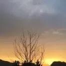 小绵羊yy