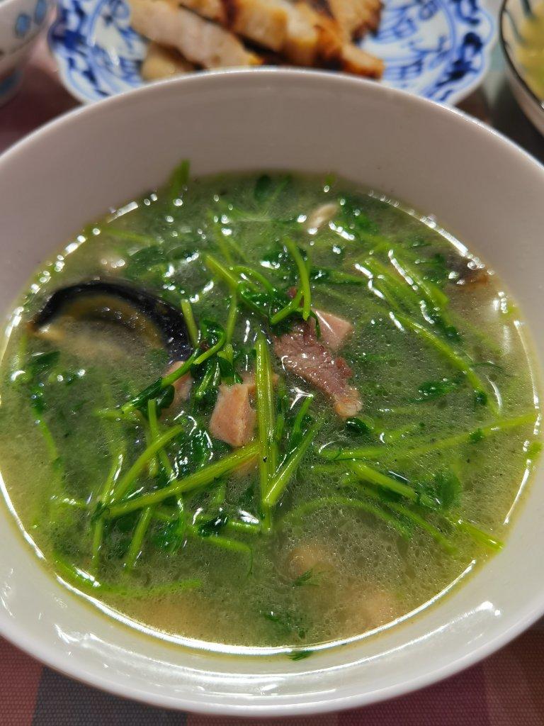 上汤豆苗