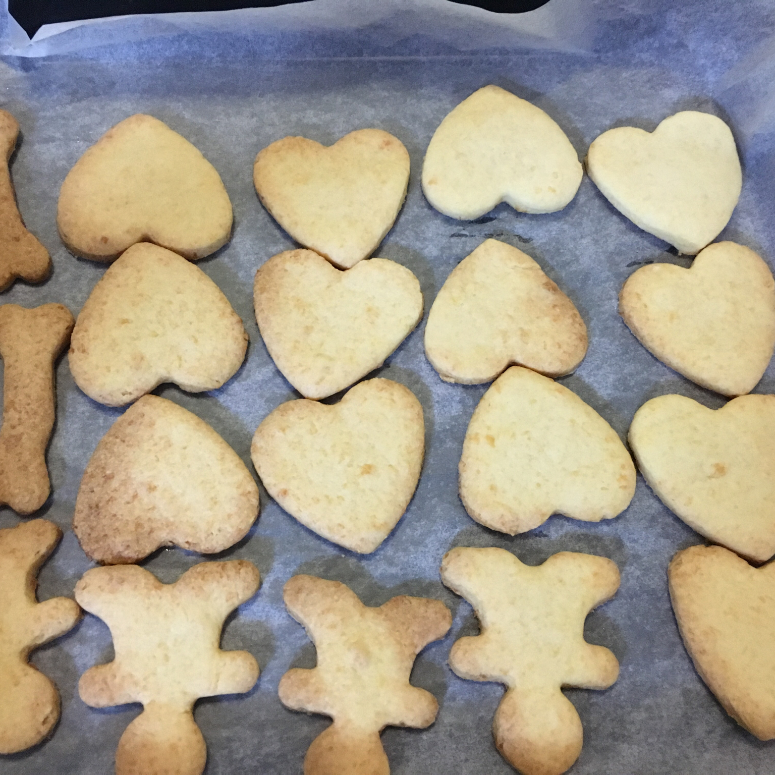 马苏里拉芝士咸味饼干