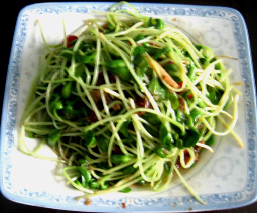 炒豆芽