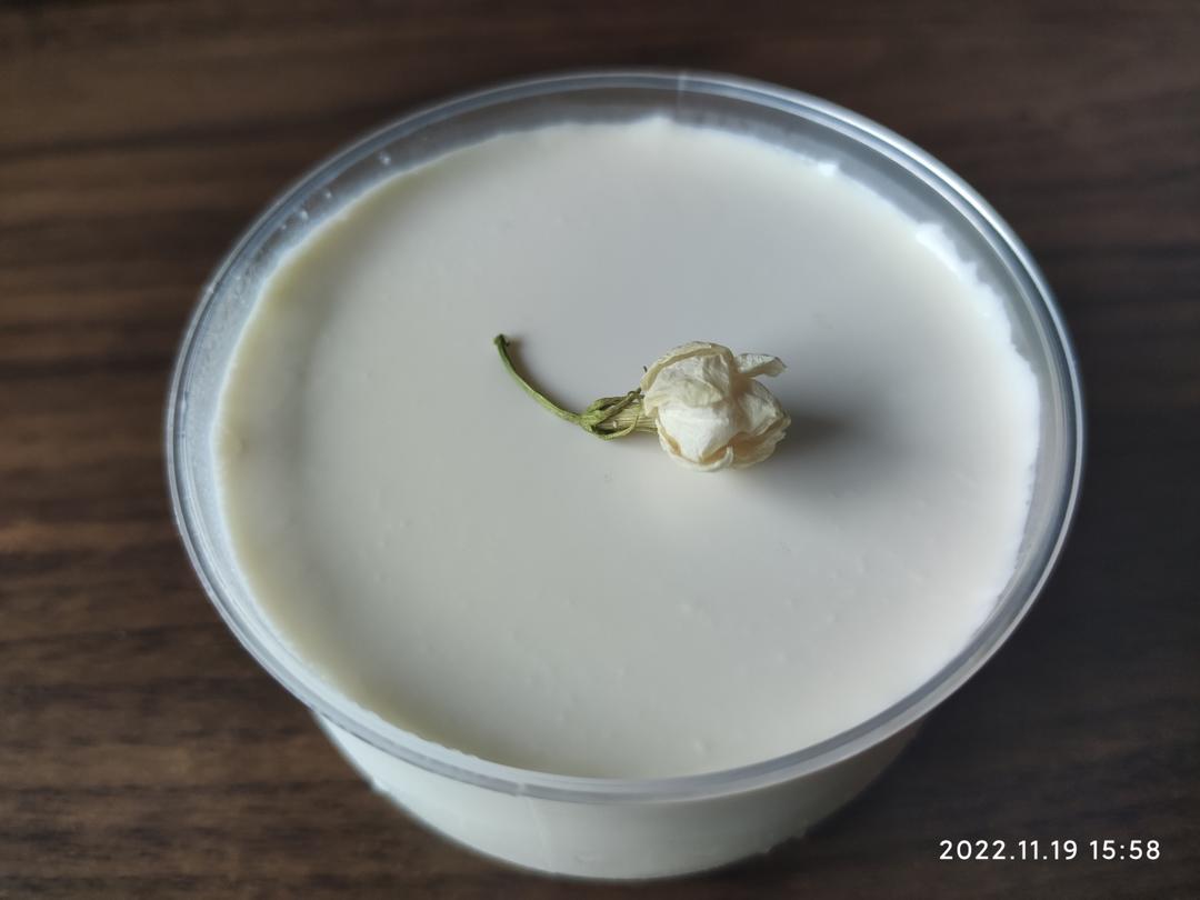 吃豆腐啦！——小嶋老师茉莉奶冻