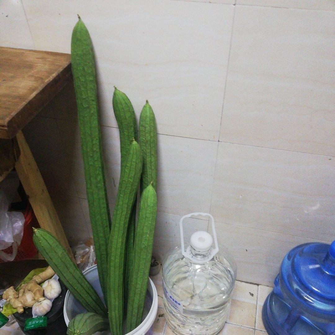 凉拌西瓜皮