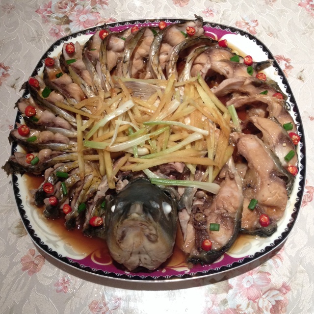 孔雀开屏鱼