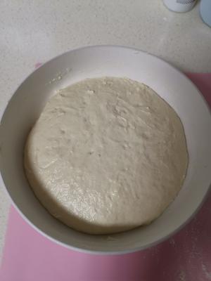 发面饼~低温冷藏发酵的做法 步骤5