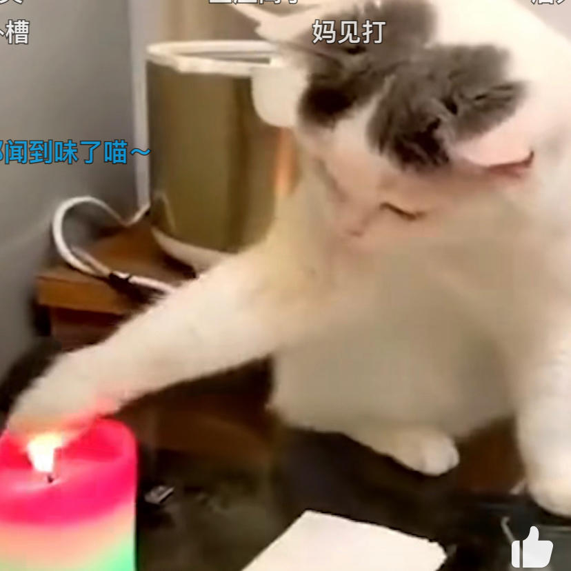 烤鱼蜂蜜加柠檬