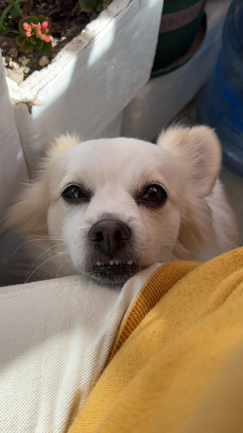 是个爱吃的姑娘哦