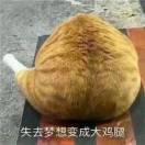鲜11