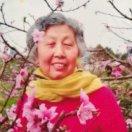 手机用户6609_jzcr