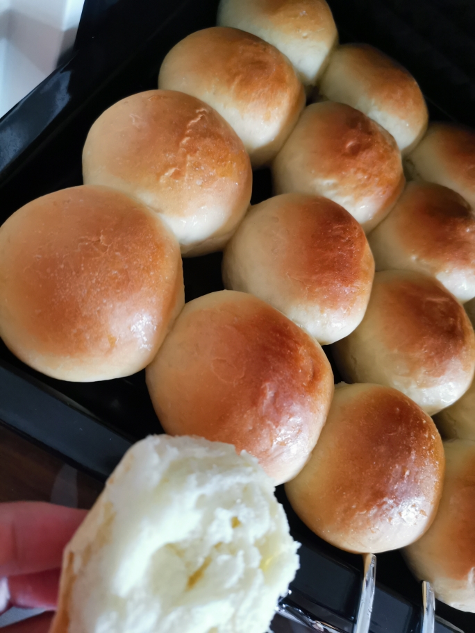 简单易做奶香小面包的做法 步骤4