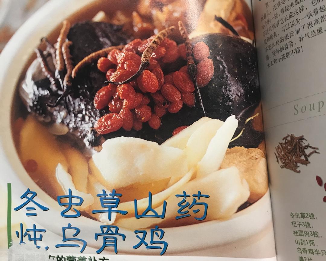 冬虫草山药炖乌骨鸡