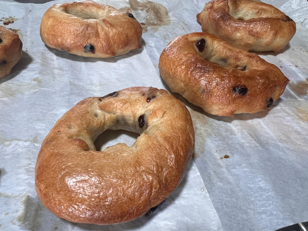全麦贝果🥯