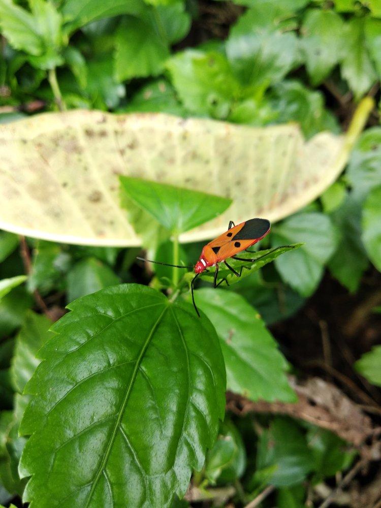 再忙也别忘记生活