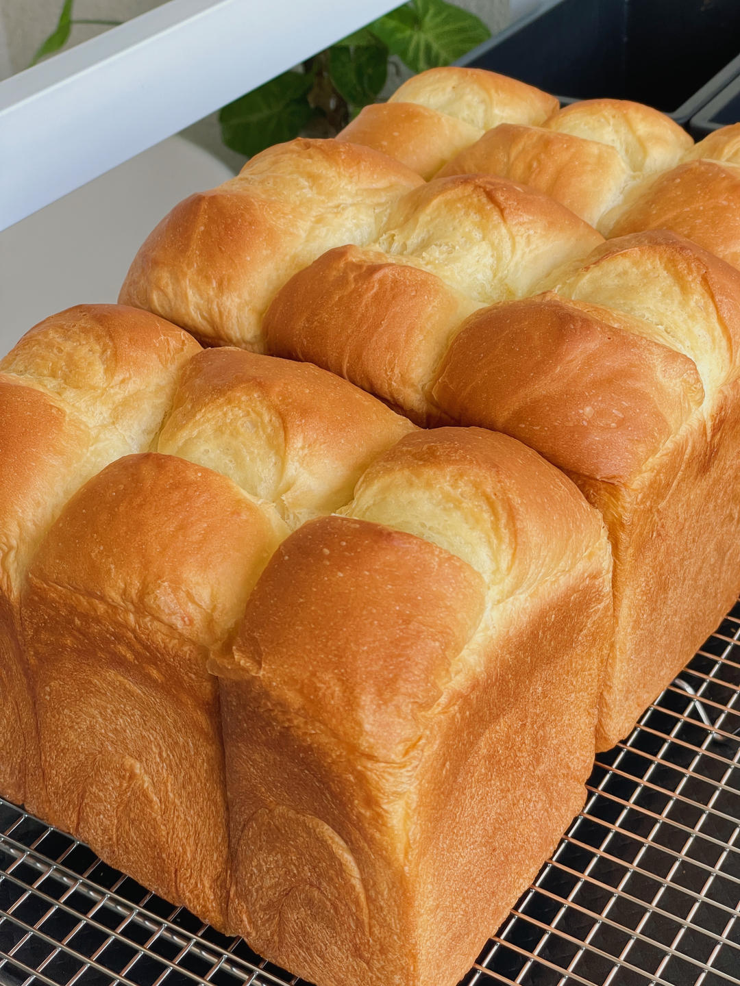 鲜奶液种超熟吐司