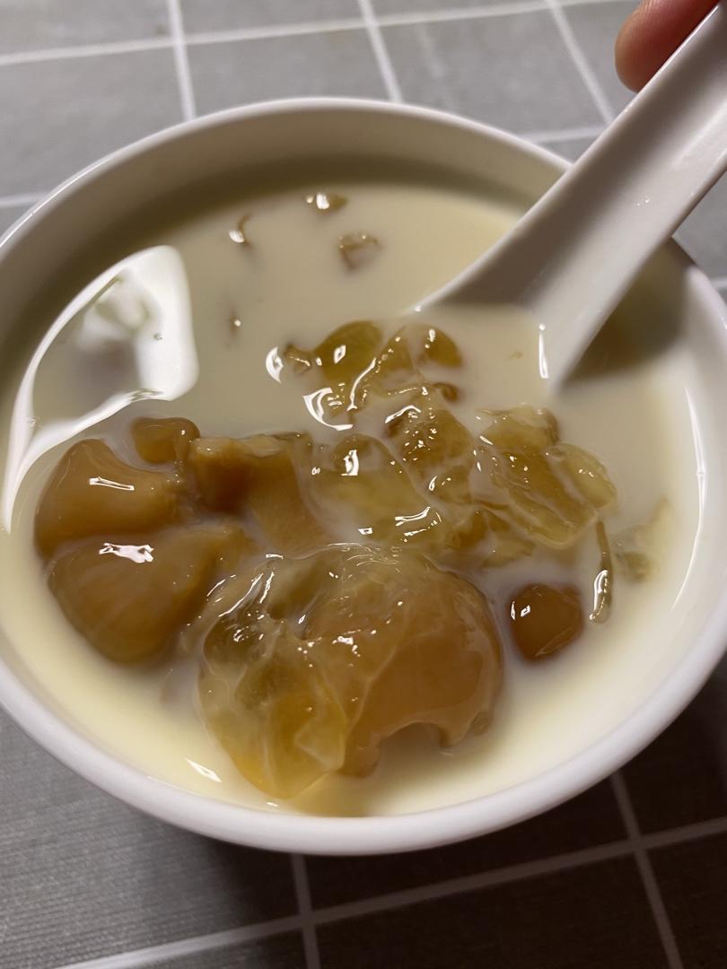 鱼胶牛奶冻（含鱼胶的泡发）